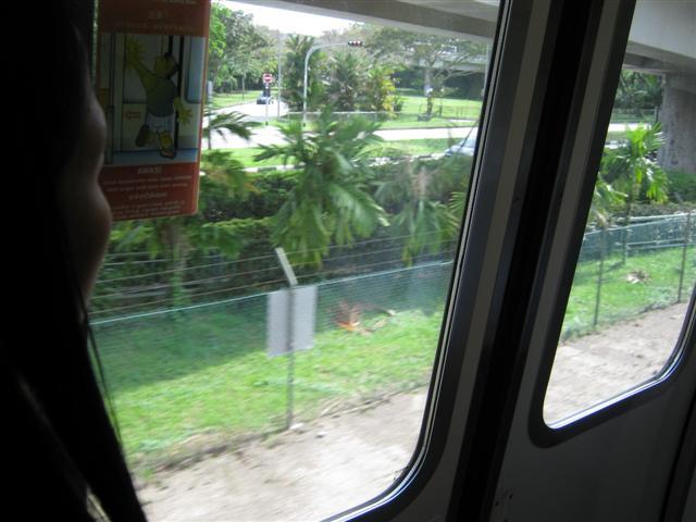 sin (1209).JPG